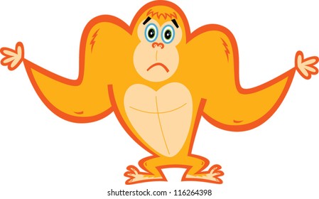 Orangutan