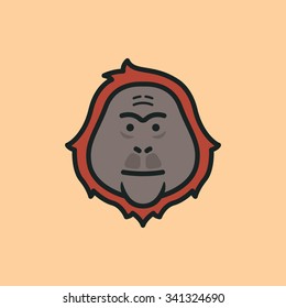 Orangutan