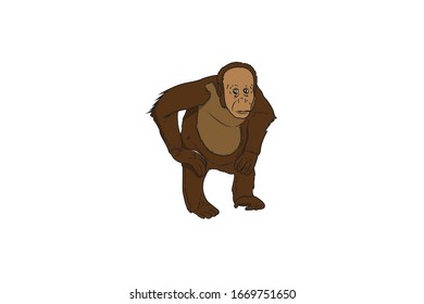 Orangutan Animal Cartoon Vector Illustration