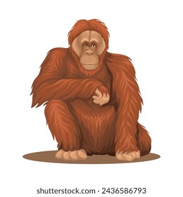 Orangutan Animal Species Cartoon Illustration Vector