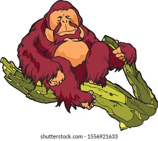 Orangutan Animal Vector Illustration For Any Graphic Design project