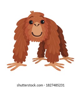 Orangutan Ape as Arboreal African Animal Vector Illustration