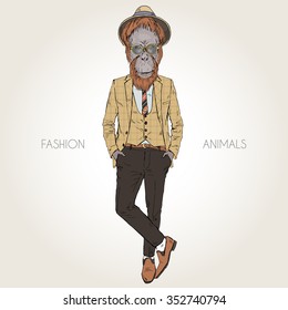 Orangutan Ape Hipster Dressed Up In Retro Suite, Fashion Animal  Illustration