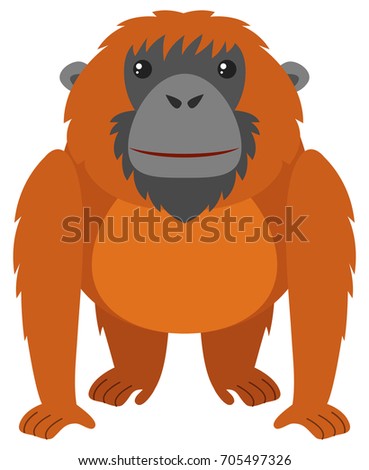 orangutan Safari Animal