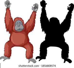 Orangutan Characters And Its Silhouette On White Background Illustration