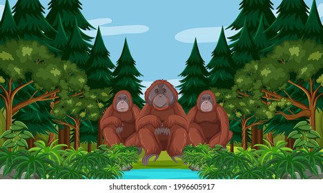 Orangutan in forest or rainforest scene with many trees illustration