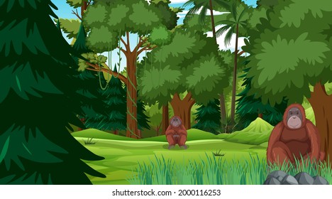 Orangutan in forest or rainforest scene with many trees illustration