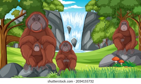 Orangutan in forest or rainforest scene with many trees illustration