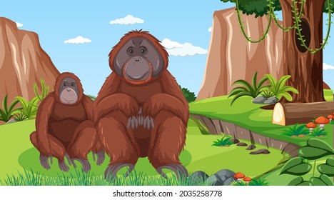 Orangutan in forest or rainforest scene with many trees illustration