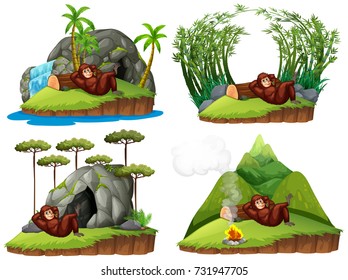 Orangutan in four different scene illustration
