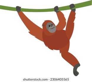 Orangutan hanging on a branch. Vector illustration in flat style