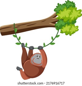 Orangutan hanging on tree illustration