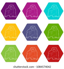 Orangutan icons 9 set coloful isolated on white for web