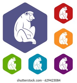 Orangutan icons set hexagon isolated vector illustration