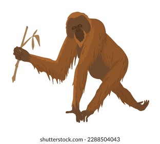 Orangutan, a large red ape with a broad face. Depicted walking with a bamboo stick. Long orange coat. Images for nature reserves, zoos and children's educational paraphernalia. Vector illustration.