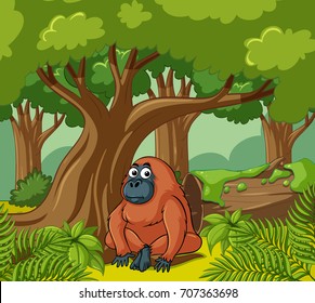 Orangutan lives in the forest illustration