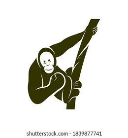 Orangutan logo design vector template, Illustration design Orangutan Monkey, Symbol Icon