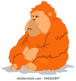 Orangutan monkey. Cartoon vector illustration of isolated on white background.