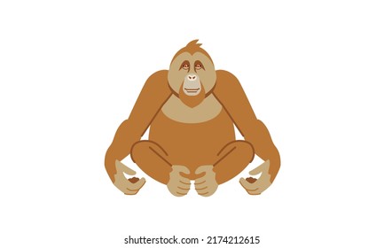 Orangutan (Pongo pygmeaus), asian native wild animal, flat style vector illustration isolated on white background