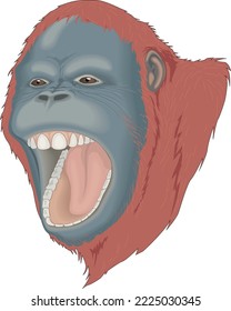 Orangutan Primate Head Vector Illustration