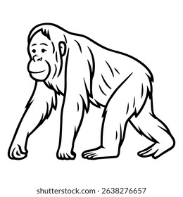 orangutan vector realistic line icon on white background
Vector line icon animal, wildlife