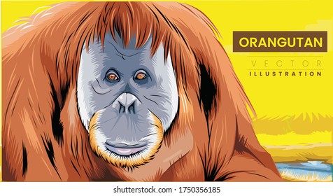 Orangutan auf gelbem Hintergrund, Vektorgrafik