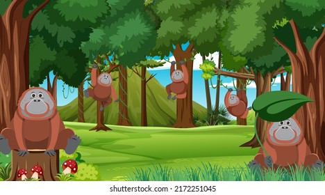 Orangutans in the forest scene illustration