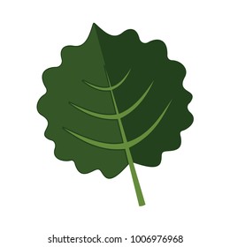 Orbicular Floral Leaves Vector Illustration Graphic Design