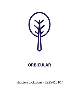 orbicular icon from nature collection. Thin linear orbicular, logotype, circular outline icon isolated on white background. Line vector orbicular sign, symbol for web and mobile