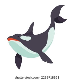 orca artic animal creature character