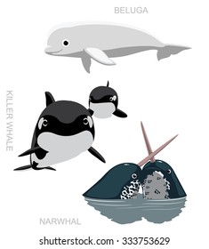 Orca Beluga Narwhal Cartoon Vector Illustration