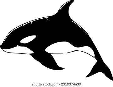 Orca black outlines vector illustration