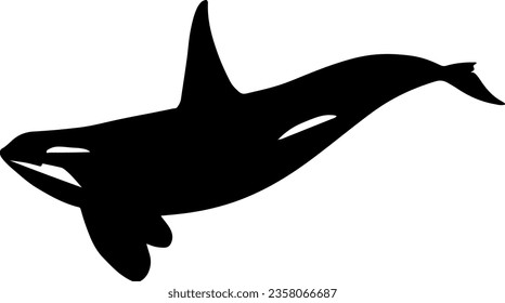 Orca Black Silouette Vector Illustration