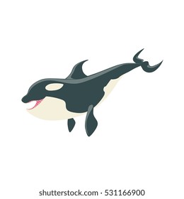 Orca Black And White Arctic Killer Whale Asking For Food, Realistic Aquatic Mammal Vector Drawing