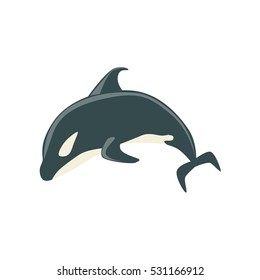 Orca Black and White Arctic Killer Wale Schwimmen, realistische Aquatic Mammal Vektorgrafik Zeichnen