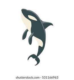 Orca Black And White Arctic Killer Whale Swimming, Realistic Aquatic Mammal Vector Drawing