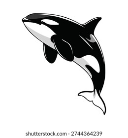 Orca breaching water, black and white cartoon illustration. Marine mammal, aquatic life, ocean dweller, powerful predator, majestic sea creature, playful jumping.