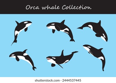 orca collection. Vector illustration. Isolated on white background.