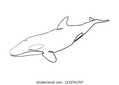 Orca the deadliest animal in the sea.