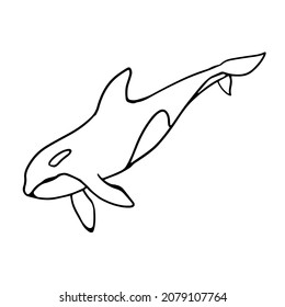 Orca in doodle style. Isolated vector.