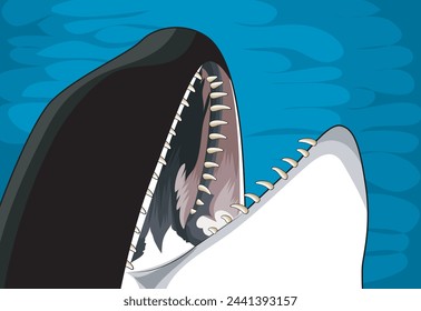 orca head in a vector