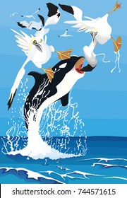 orca hunting gannet