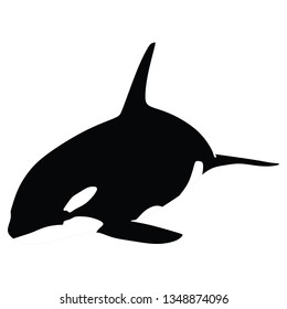 Orca icon, black and white whale killer, isolated on white background. Whale flat illustration on white - Vector