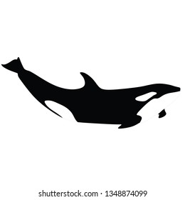Orca icon, black and white whale killer, isolated on white background. Whale flat illustration on white - Vector