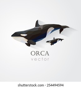 orca killer whale and its baby vector illustration in low poly geometric style- company visual identity