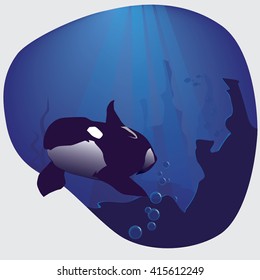 Orca killer whale in the deep sea surrounding.Vector illustration.