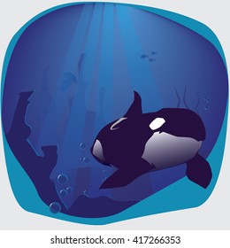 Orca killer whale in the deep sea surrounding.Vector illustration.