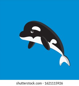 
Orca killer whale, flat illustration.
