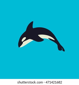 Orca killer whale, flat illustration.
