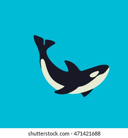 Orca killer whale, flat illustration.
